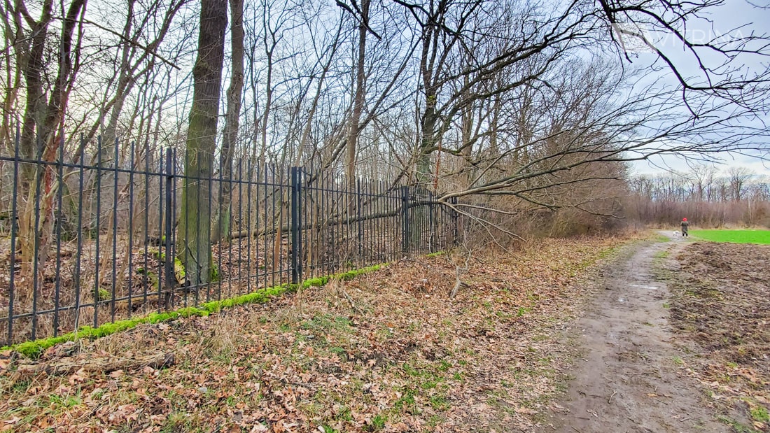 Park Natolinski в Варшаве
