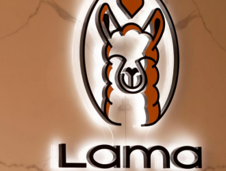 Lama-clinic-12