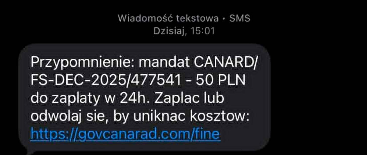 mandat 03