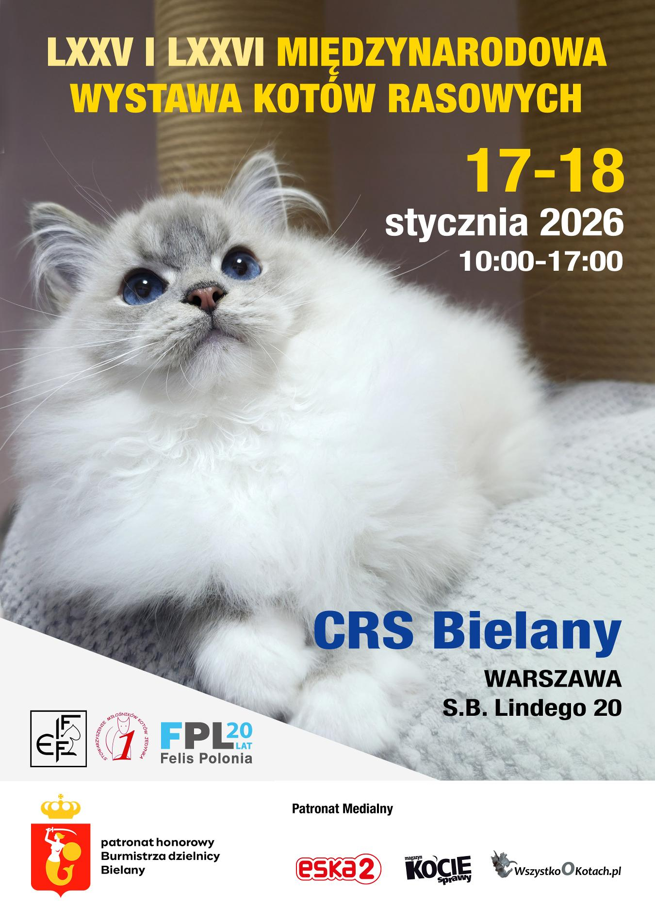 Plakat Międzynarodowa Wystawa Kotów Rasowych