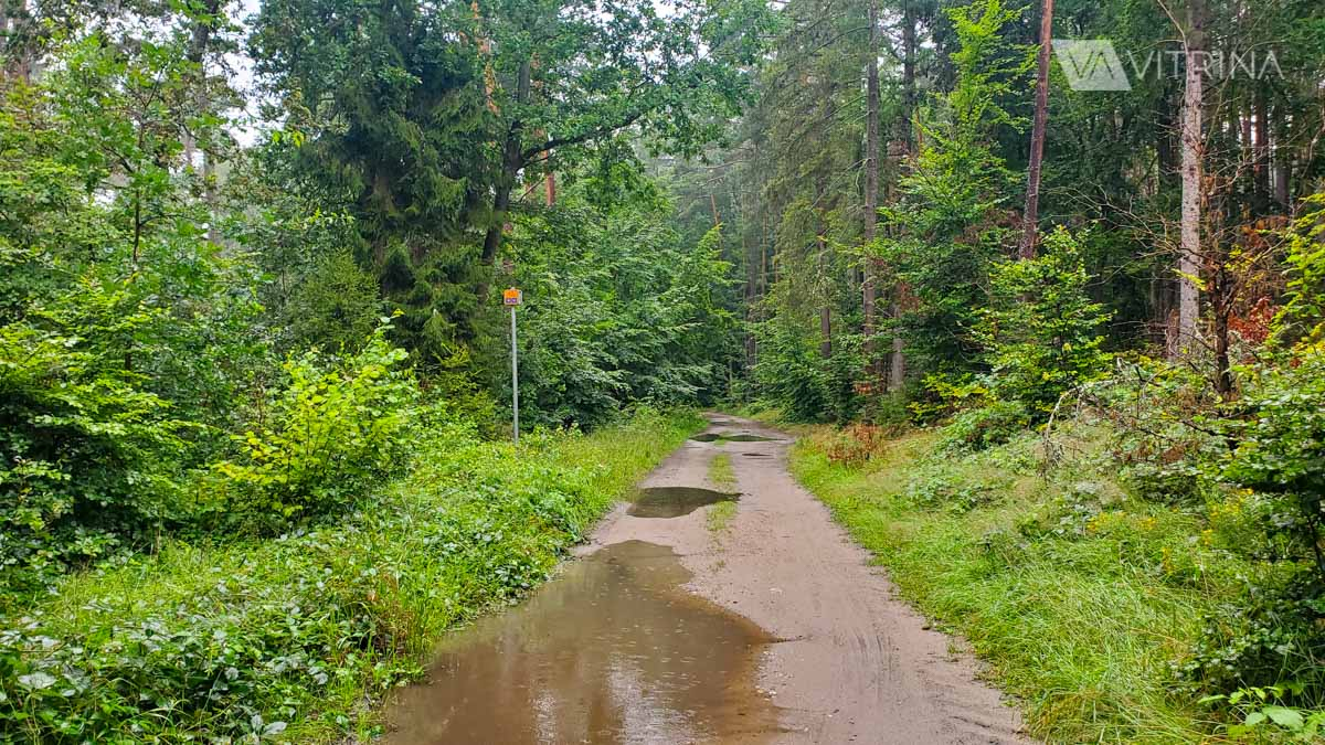 Веломаршрут вдоль Балтики в Польше – Velo Baltica EuroVelo R10