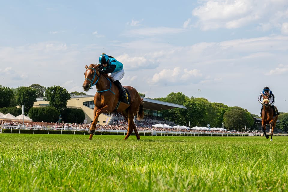 Horse racing at the Sluzewiec Racecourse / Wyscigi konne - Tor Sluzewiec, Warsaw, Poland