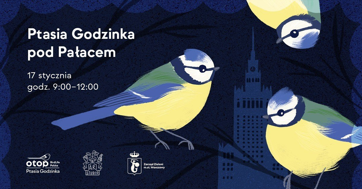 ptasia godzina