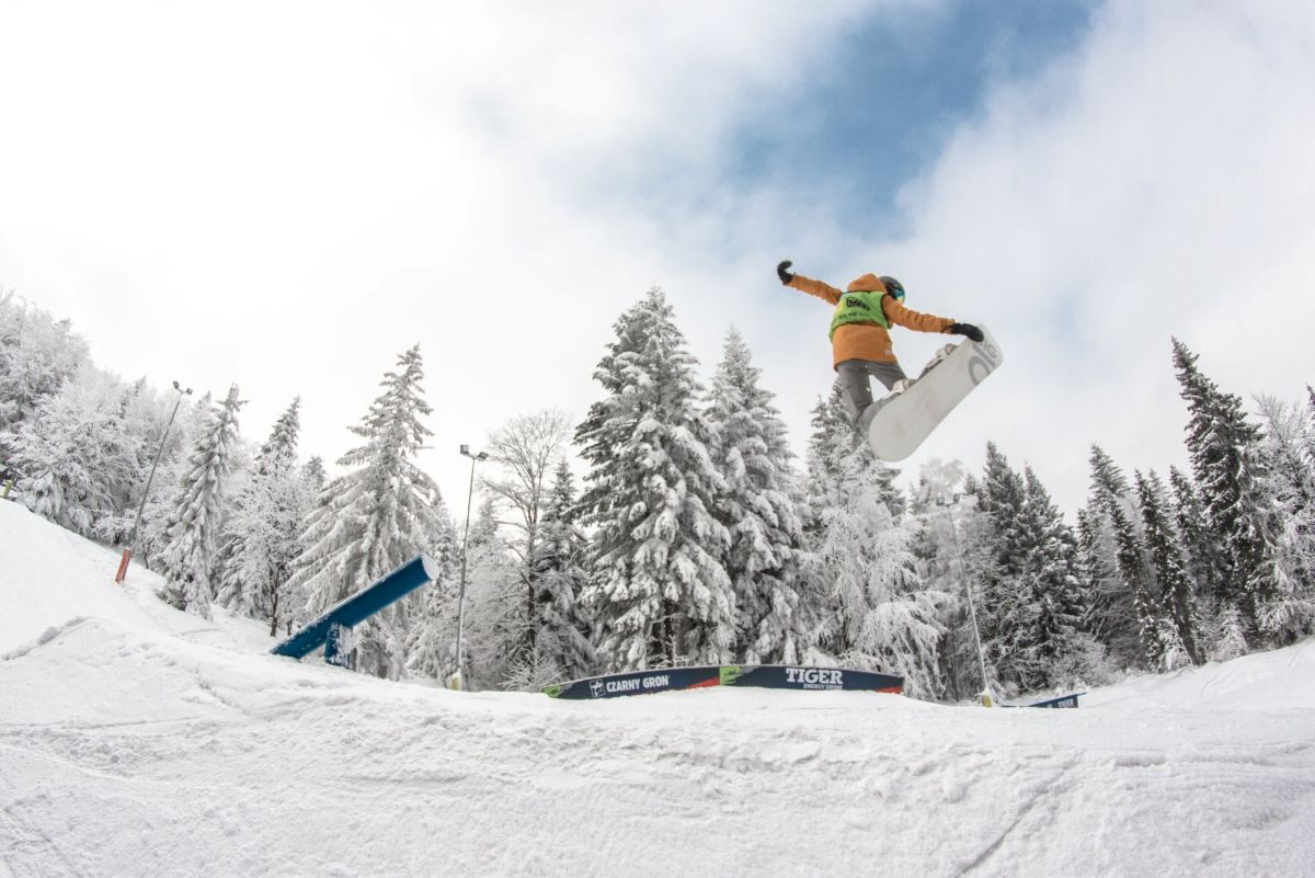 tiger snowpark4