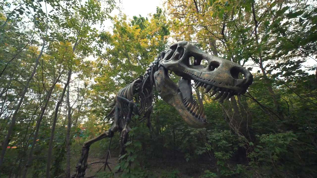 Lost World - парк развлечений в Варшаве