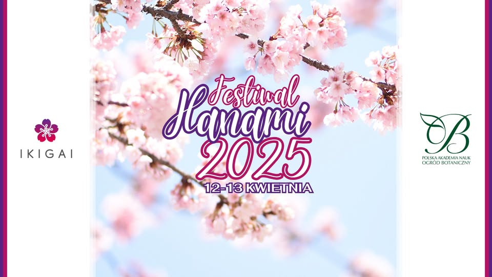 festiwal hanami