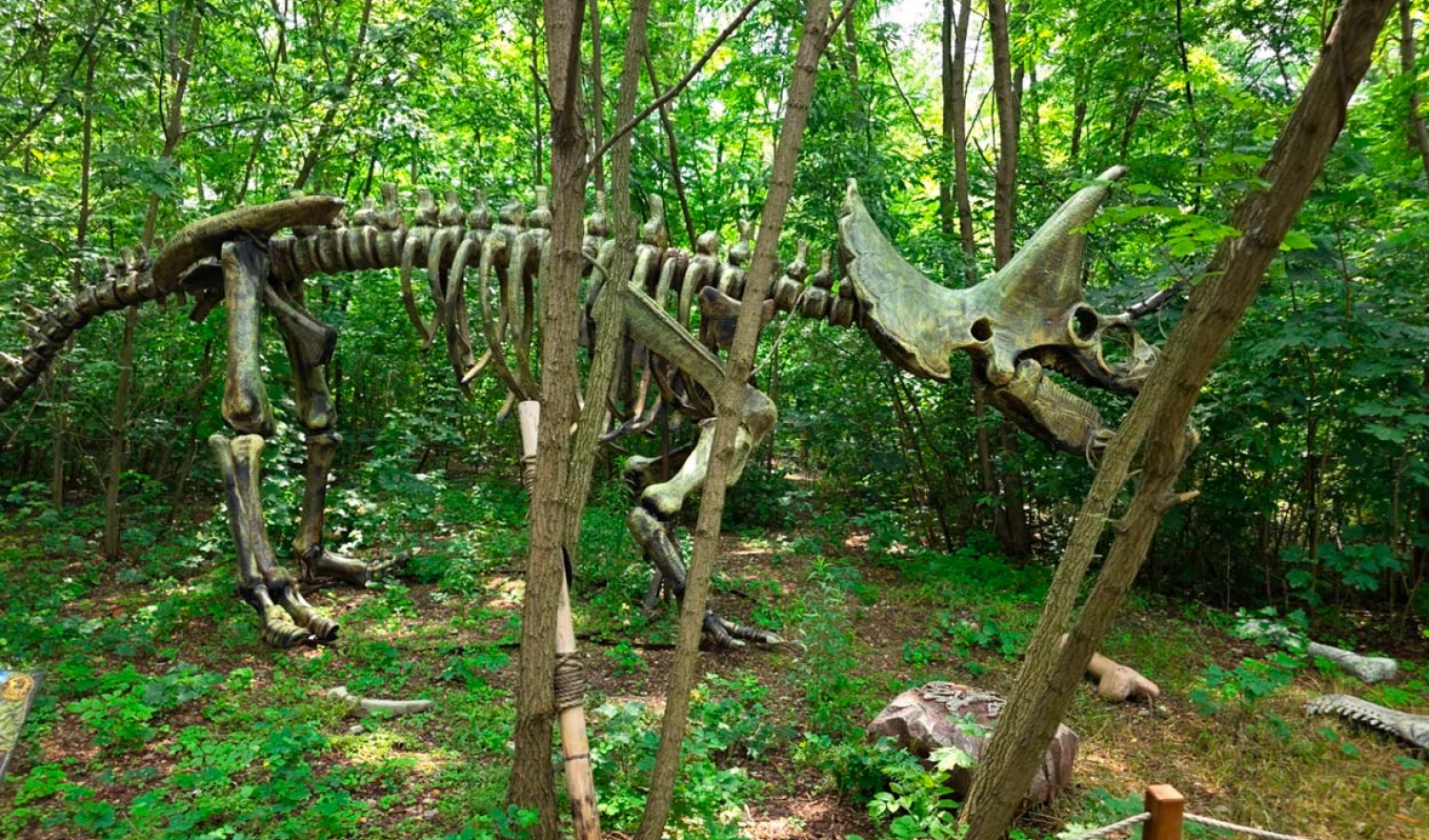 Lost World - парк развлечений в Варшаве