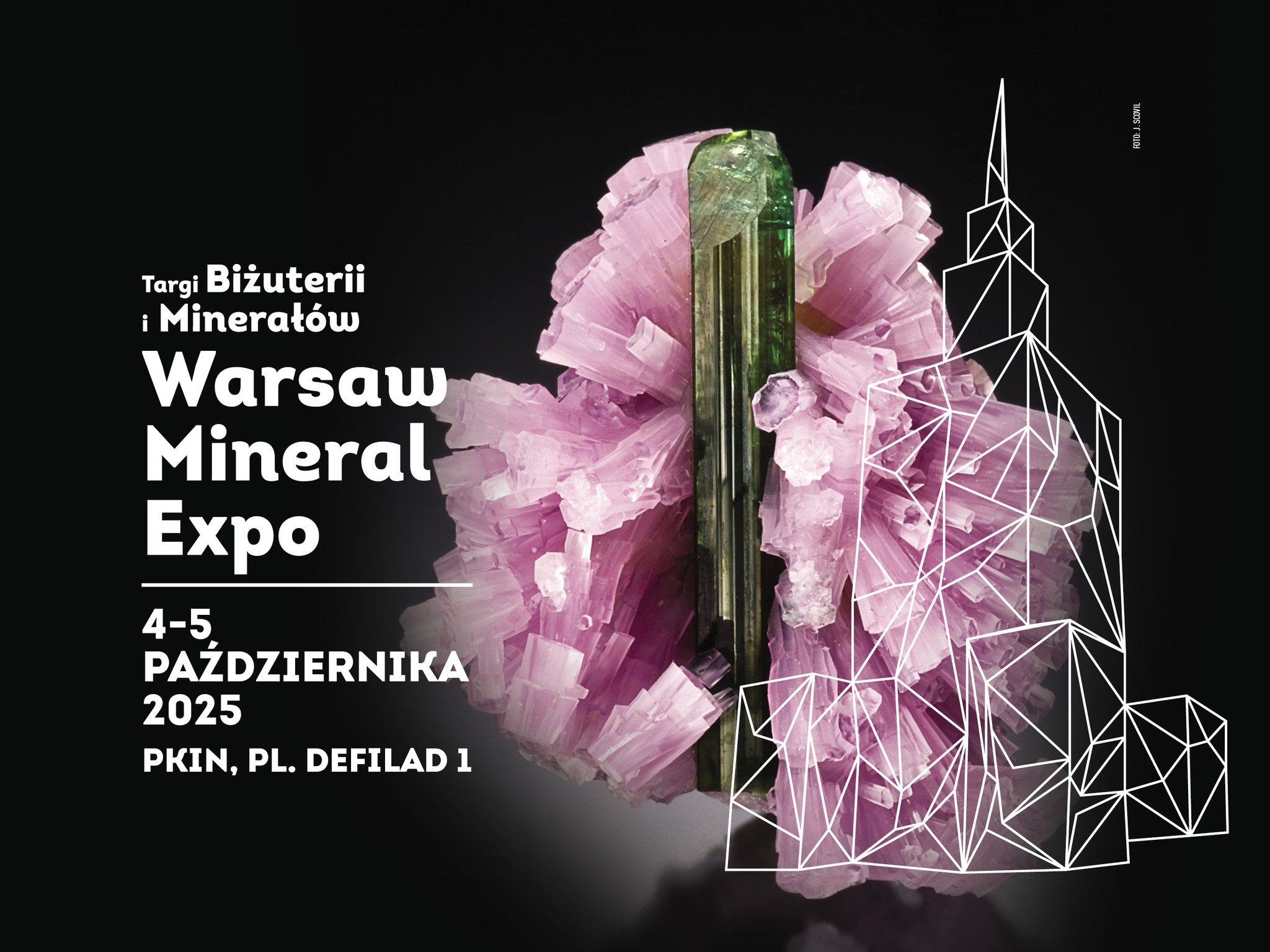 mineral expo