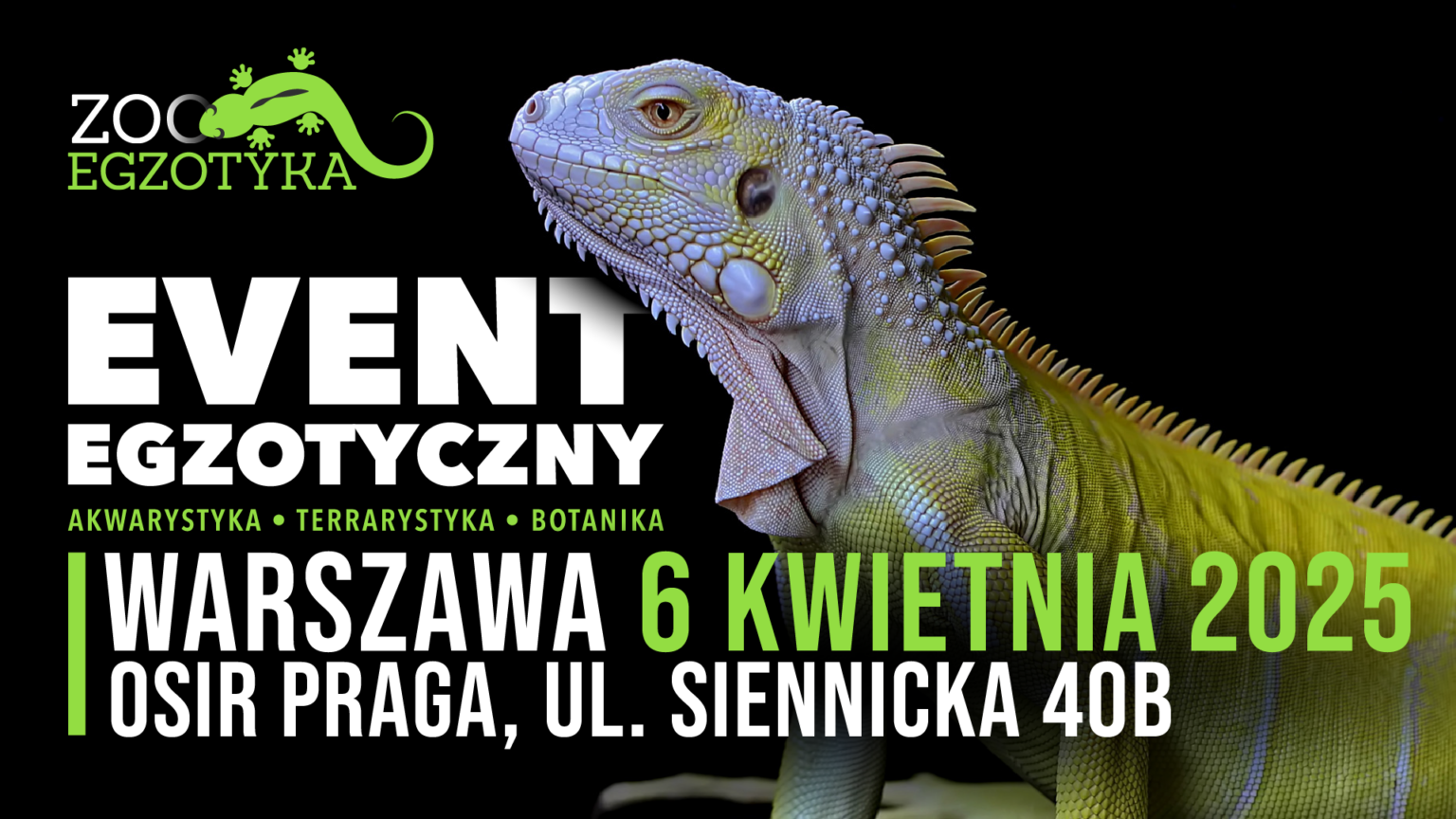 zooegzoteryka 0604