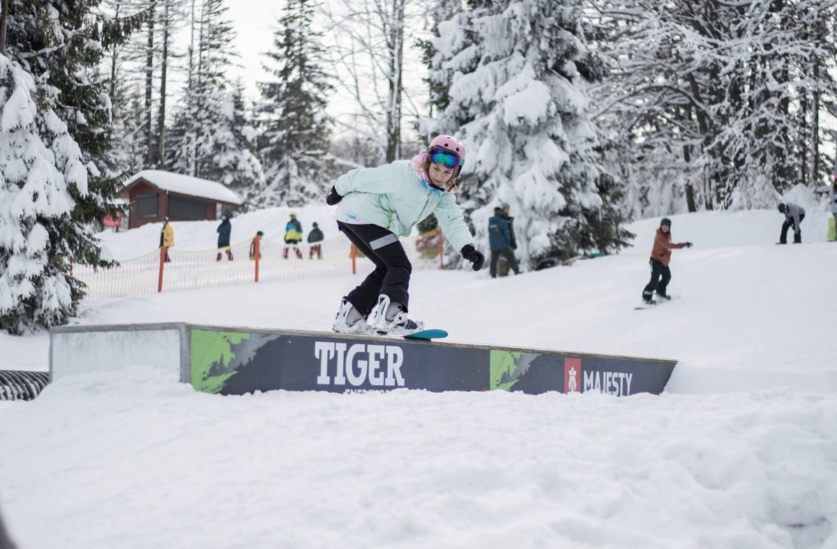 tiger snowpark2