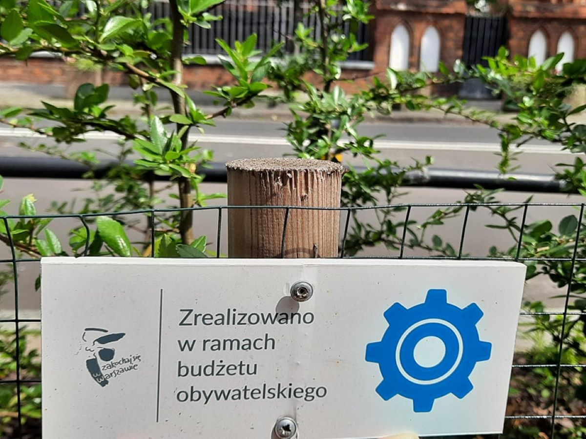 Budzet obywatelski