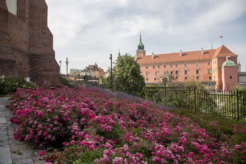 Секретный дворик в костеле Святой Анны в Варшаве