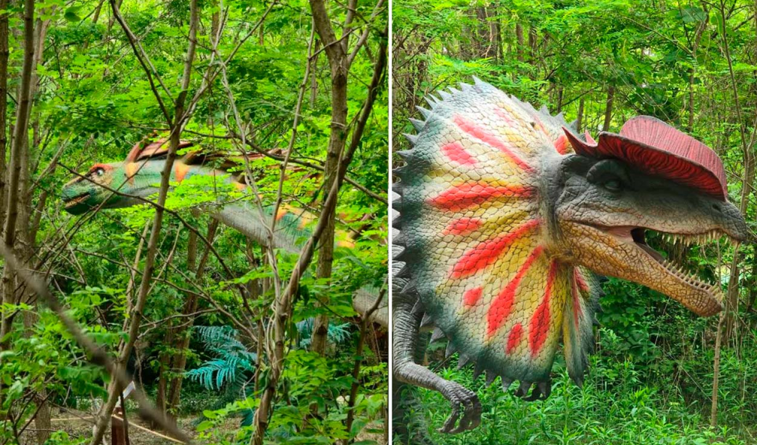 Lost World - парк развлечений в Варшаве