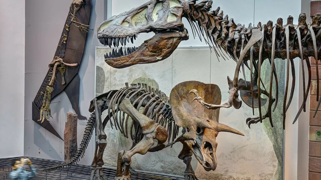 muzeum historii naturalnej