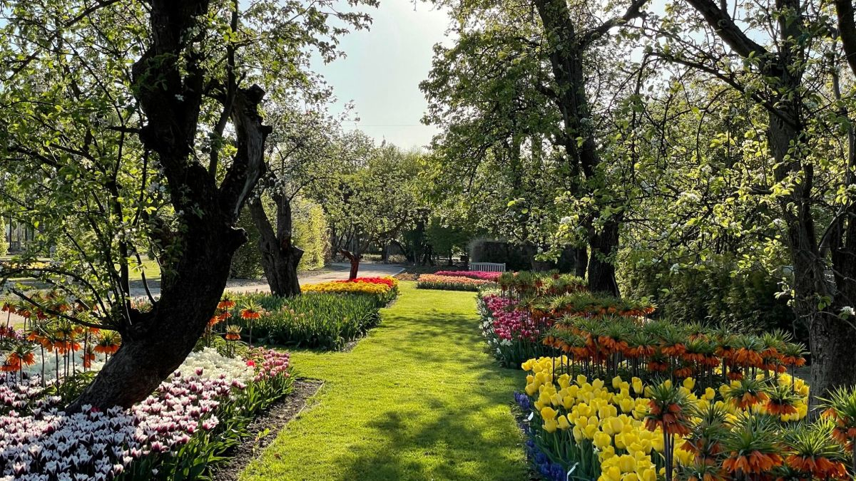 Aflopark