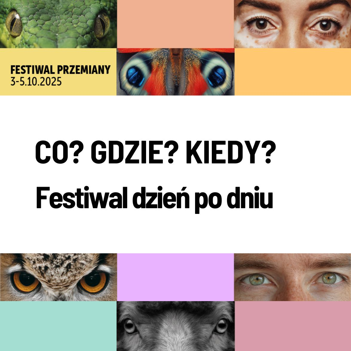 fest Przemiany